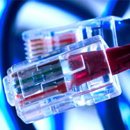 CAT5 cabling Carterton